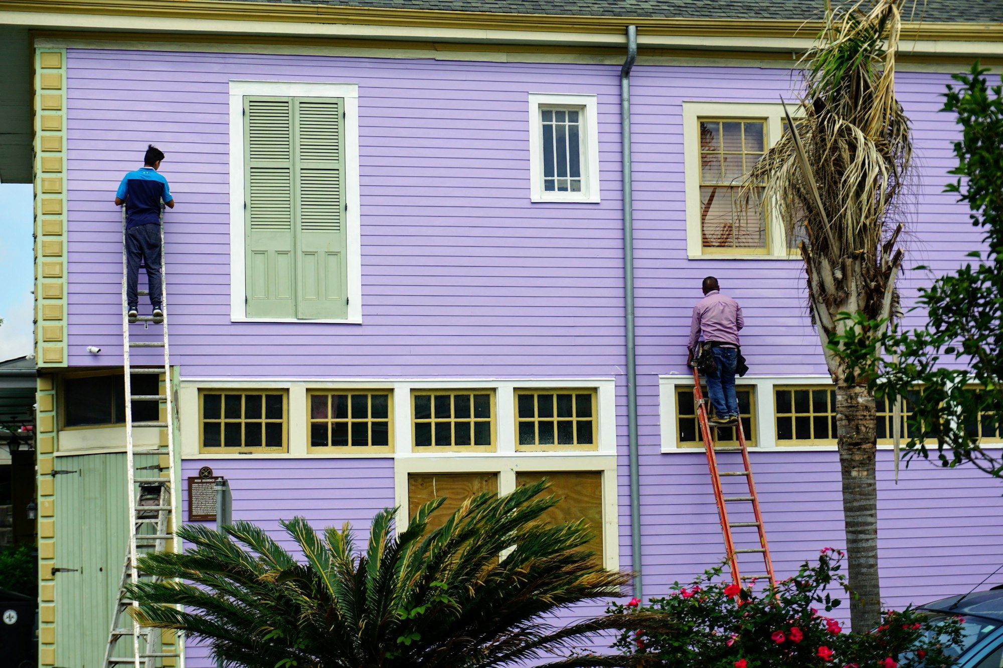 Pintores em escadas a pintar a fachada de uma casa